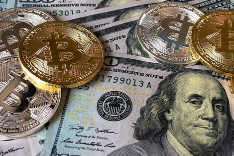 La cotización del dólar cripto este miércoles 13 de diciembre, tras los anuncios económicos de Luis Caputo. (Fuente: Pexels)