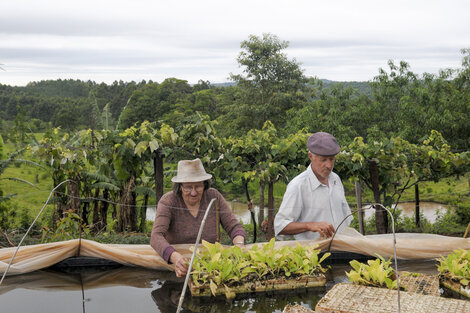 "El Gobierno no ve a la agricultura familiar como un sector productivo"