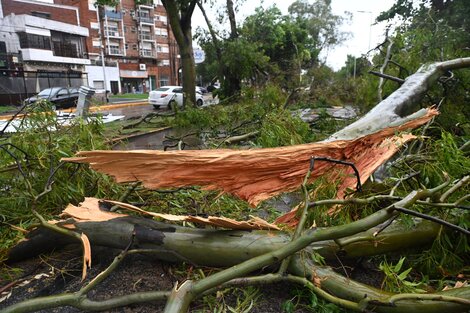 En la madrugada de este domingo se registró un fuerte temporal de lluvia y vientos de hasta 100 km/h (Fuente: Télam)