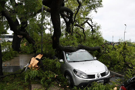 Tras el trágico temporal, La Libertad Avanza sigue negando el cambio climático