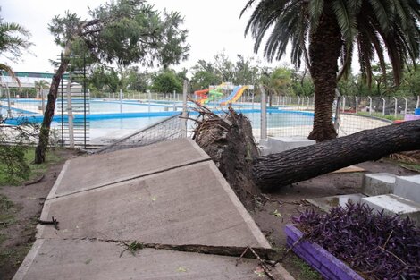 El sur del conurbano reacciona tras la tormenta