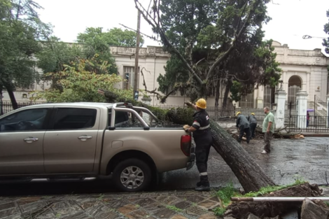 El temporal dejó destrozos y anegamientos en distintos puntos de la provincia