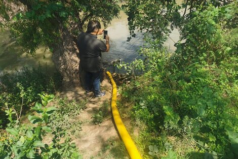 Constataron el riego de hortalizas con aguas con "alto riesgo de contaminación"