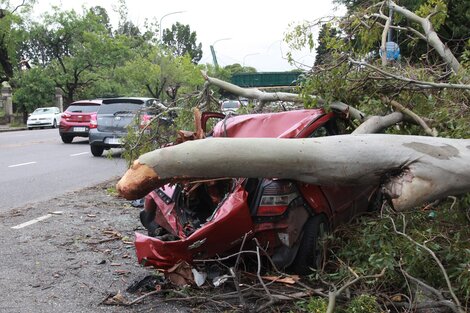 Tras la tormenta que dejó destrozos en toda la Ciudad, será posible acceder a un beneficio económico para paliar el problema.