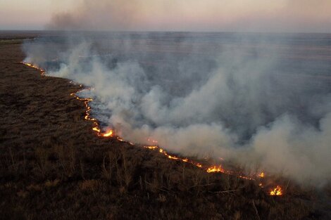 Qué es y para qué sirvió la ley de Manejo del Fuego que Javier Milei prometió derogar