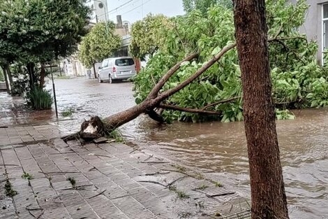 Destrozos y cortes de luz por un fuerte temporal en el sur de Córdoba