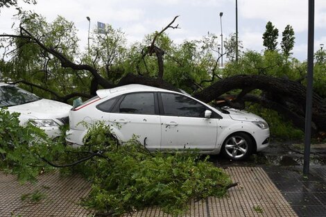 Temporal en CABA: cómo tramitar el subsidio para los damnificados