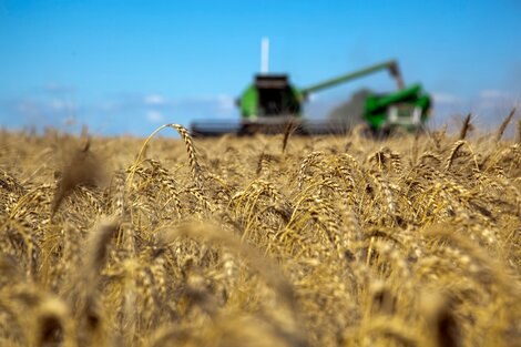 Cómo quedan las retenciones al agro y al sector hidrocarburos