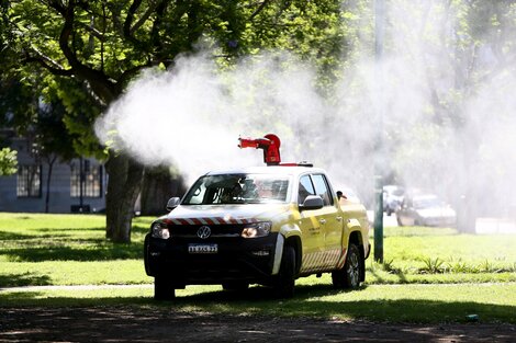 Invasión de mosquitos en Buenos Aires: las plazas y parques en los que se reforzó la fumigación