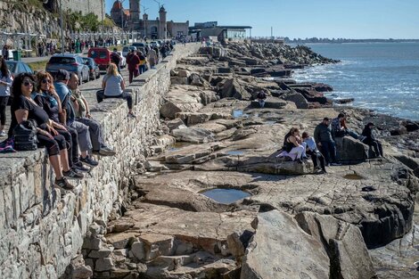 De Buenos Aires a Mar del Plata sin pasar por la Ruta 2: el truco para ahorrar peajes y tiempo