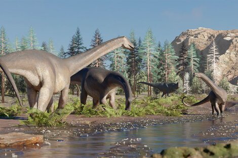 Encontraron restos de un nuevo tipo de dinosaurio en Neuquén