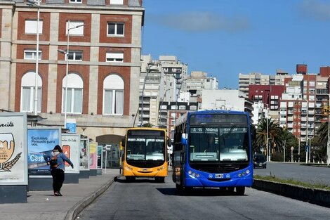 La UTA Mar del Plata manifestó que la situación actual de los trabajadores es "preocupante". 