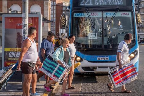 Paro de colectivos hoy en Mar del Plata: qué líneas no funcionan por falta de pagos de salarios