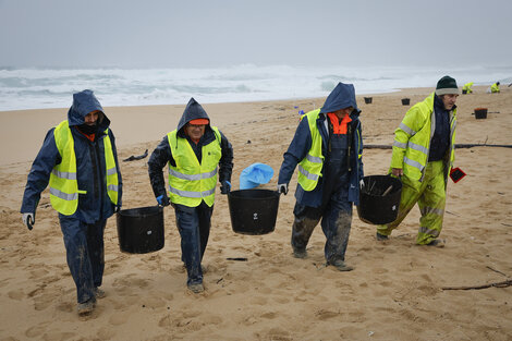 Millones de pellets contaminan la costa de Galicia