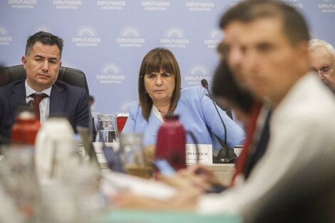 Patricia Bullrich en el plenario de comisiones de la Cámara de Diputados.