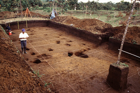 Un nuevo estudio reveló este jueves el descubrimiento del urbanismo agrario de baja densidad más antiguo y extenso documentado hasta ahora en la Amazonía, que cuenta con más de 6.000 plataformas de tierra construidas en una área de estudio de 300 kilómetros cuadrados.  (Fuente: EFE)