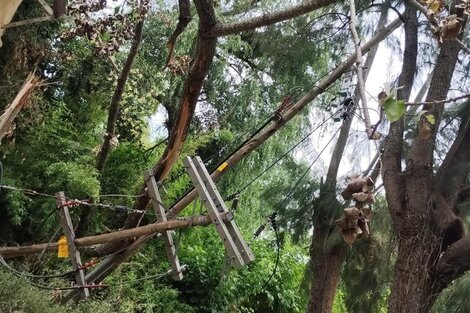 Hay al menos 1600 personas sin luz en el delta de Tigre