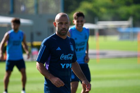 Javier Mascherano: "Ojalá Scaloni pueda dirigir en los Juegos Olímpicos"