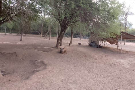 Familias campesinas piden que les provean de agua potable 