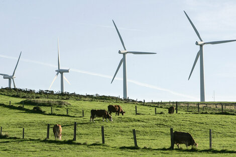 El boom de la energía renovable (Fuente: EFE)