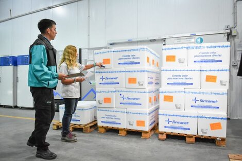 Llegaron a Salta las vacunas contra el dengue 