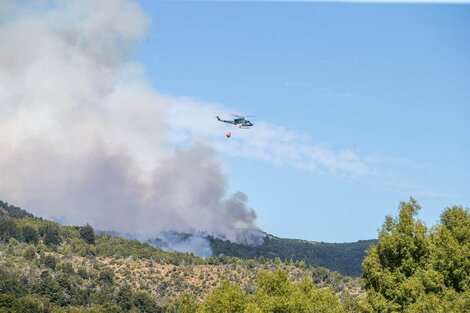 Dos aviones con capacidad de descarga de 3000 litros de agua cada uno se sumaron al trabajo de apagar las llamas. (Fuente: Télam)