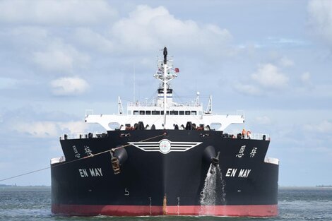 El barco "En May" chocó este domingo contra el Puente Zarate Brazo Largo. (Foto: Philippe Guichot / Marine Traffic)