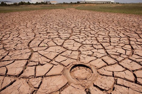 Advierten que El Niño se debilitaría y podría regresar La Niña