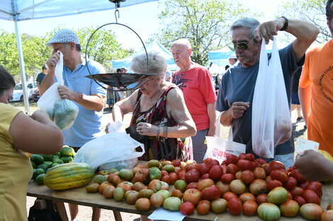 La revinculación con la producción tradicional y el "tomate de nuestros abuelos"