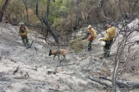 Incendios en la Patagonia argentina.