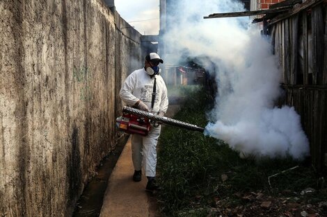 Alerta dengue: "Nadie sabe quién es el ministro de Salud en este país" 