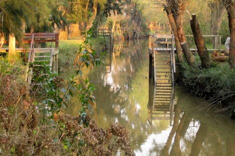 Historias de barro en el delta argentino