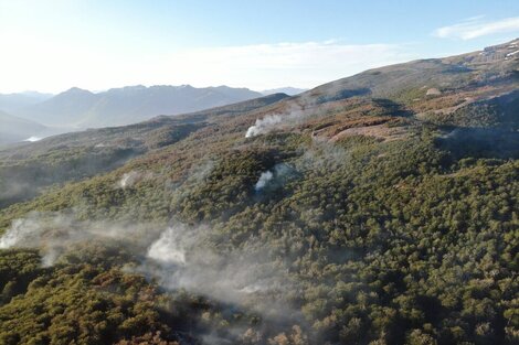 Incendio en el Parque Nacional Los Alerces: el fuego ya consumió casi 8.000 hectáreas