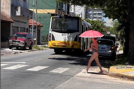 Llevar el verano, por @georginaponto.