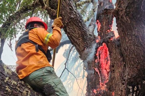 Brigadistas trabajan para apagar un incendio en el Parque Lanín