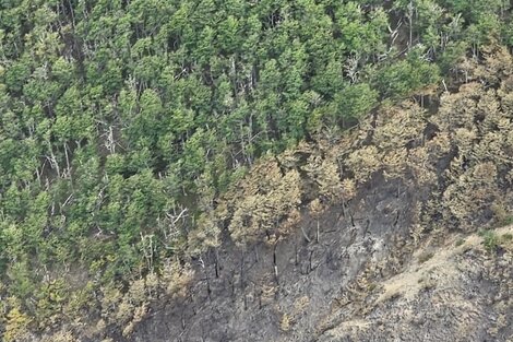 Incendio en el Parque Nacional Los Alerces: afirman que el fuego está "activo, pero apaciguado"