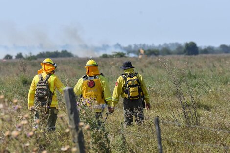 Cómo funciona el Consejo para el Manejo del Fuego en la Provincia de Buenos Aires