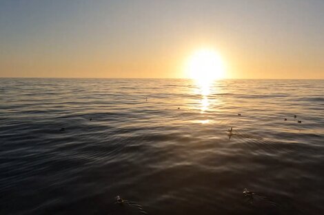 Por la ola de calor, se registró un récord histórico en la temperatura del mar