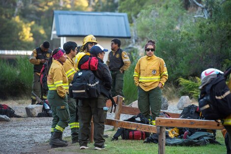 Casi 60 mil hectáreas de zonas protegidas fueron afectadas por incendios forestales en 2023  