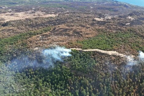 Cómo sigue el combate del fuego en el Parque Nacional Los Alerces