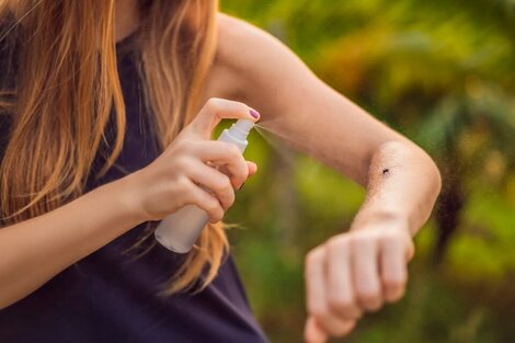Invasión de mosquitos: cinco mitos populares para cuidarse de las picaduras   (Fuente: AFP)