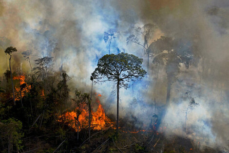 1.5 grados centígrados es la meta para que el calentamiento global no nos devore 