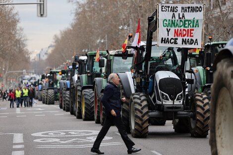 España: tractorazo en defensa del campo