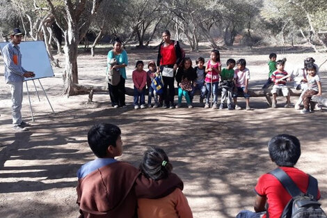 Maestras bilingües perdieron sus puestos en Santa Victoria Este