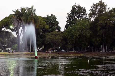 Cianobacterias: La Plata se suma al sistema de alerta temprana 