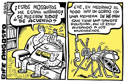 Mosquitos