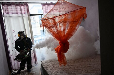 Perú declaró el estado de emergencia por brote de dengue  (Fuente: AFP)