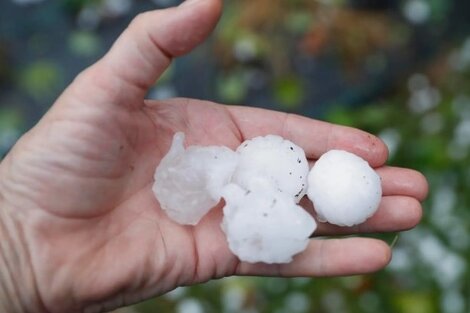 Los impresionantes videos de la tormenta de granizo que azotó a Mendoza en plena vendimia