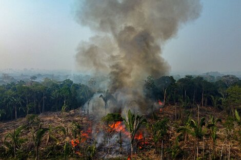 Récord de incendios forestales en la Amazonia brasileña 