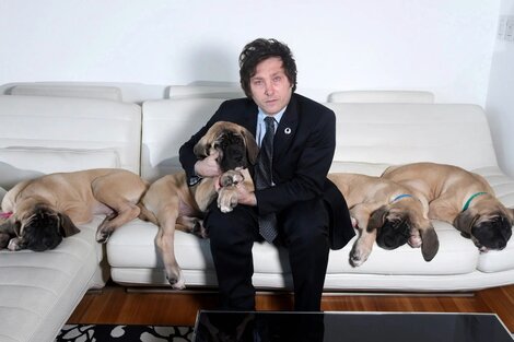 Javier Milei con sus perros clonados.